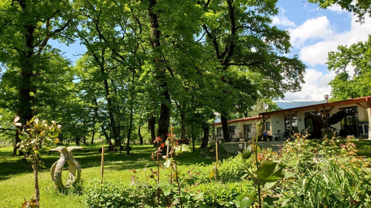 Kvareli Oaks Zewnętrze zdjęcie