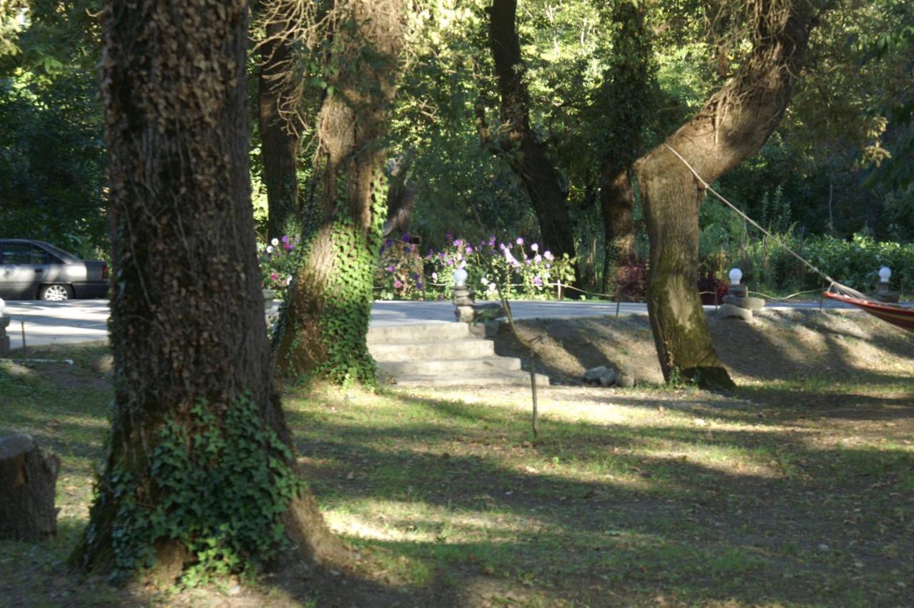 Kvareli Oaks Zewnętrze zdjęcie